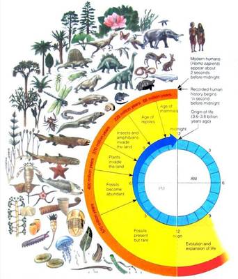 2018年首屆南澳論壇專家演講《生態(tài)文明: 人類文明進程的新階段》